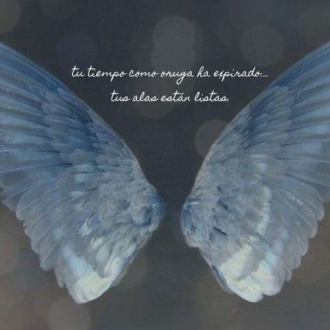 Vuela Spanish Inspirational Quotes, Inspirational Phrases, Motivational Phrases, Dalai Lama, Spanish Quotes, Life Motivation, In Spanish, Woman Quotes, Angel Wings