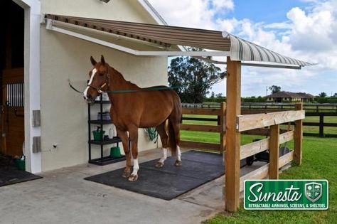 Dream Barn Stables, Small Horse Barns, Horse Shed, Horse Tack Rooms, Horse Farm Ideas, Diy Horse Barn, Horse Barn Ideas Stables, Barn Stalls, Horse Barn Designs