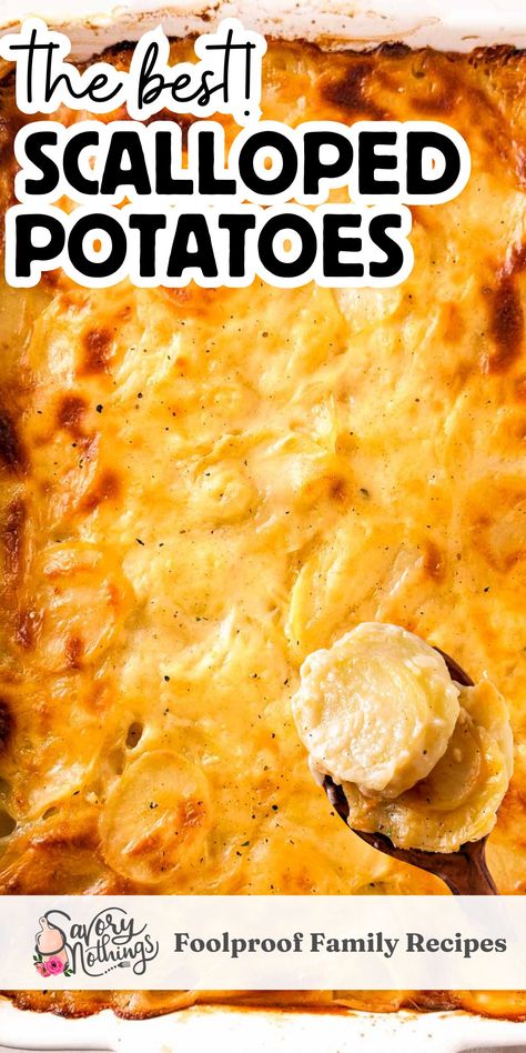 Scalloped Potatoes Pin Scalp Potatoes, Scalloped Potatoes Without Cheese, Scalloped Potato Recipe, Cheese Scalloped Potatoes, Potato Casseroles, Homemade Scalloped Potatoes, Scalloped Potatoes Crockpot, Easy Scalloped Potatoes Recipe, Creamy Scalloped Potatoes