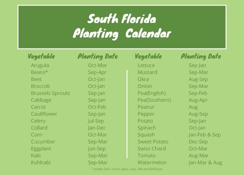 Easiest vegetables to grow in south Florida Lanai Design, Easiest Vegetables To Grow, Vegetable Planting Guide, Vegetable Planting, Southern Florida, Florida Garden, Yard Inspiration, Bean Varieties, Types Of Tomatoes