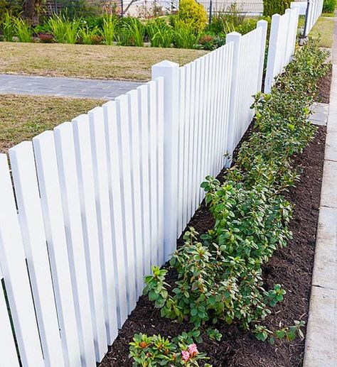 Yard Privacy, Privacy Fencing, Easy Fence, Fence Plants, Picket Fences, Fencing Ideas, White Fence, Front Yard Fence, Roses Red