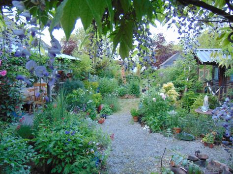 bealtaine cottage Bealtaine Cottage, Lush Cottage Garden, Fairytale Cottage Exterior Garden, Tiny Canal Cottage, Cottage Garden Plan, Cottage Garden Watercolour, Ireland Cottage, Garden Of Earthly Delights, Permaculture Gardening