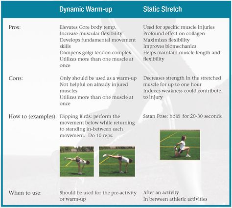 Static Stretches, Warm Up Stretches, Static Stretching, Cheerleading Coaching, Elementary Pe, Dynamic Warm Up, Upper Elementary, Cheerleading, Stretching