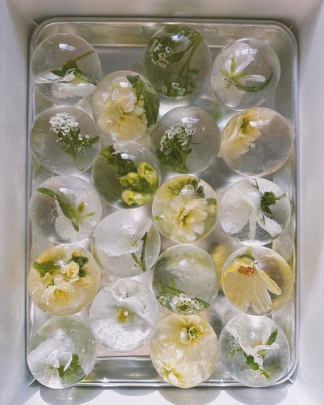 The Lovely List: Wedding Details of the Moment Floral Ice Cubes, Cake Displays, Modern Arrangements, Floral Ice, Garden Spheres, Flower Ice, Ice Ball, Ceremony Seating, Welcome To The Party