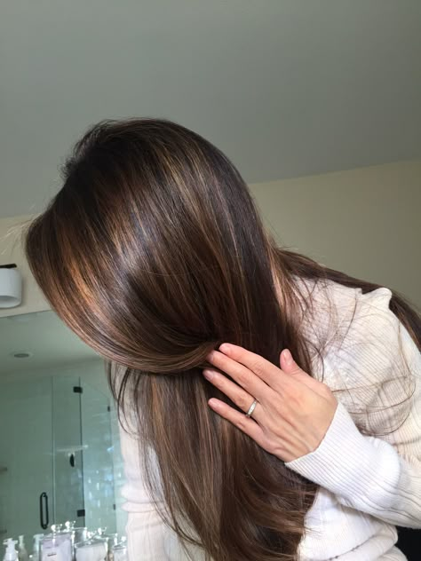 Hair With Subtle Highlights, Highlights On Black Brown Hair, Dark Brunette Hair Highlights, Brunette Full Head Highlights, Natural Highlights Dark Brown Hair, Dark Brown Bayalage Hair Short, Latte Highlights On Dark Hair, No Bleach Highlights Dark Hair, Hazel Highlights On Dark Hair