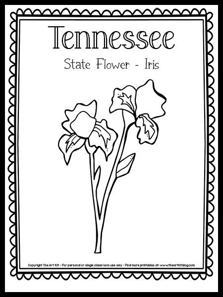 Tennessee State Flower Coloring Page (Iris) {FREE Printable!} - The Art Kit Tennessee Flower Tattoo, Nashville Stamp Tattoo, Tennessee Drawing Ideas, Tennessee State Flower Tattoo, Tennessee Coloring Pages, Tennessee Inspired Tattoos, 50 States Coloring Pages, Tennessee Stamp Tattoo, Tennessee Tattoo Ideas Women