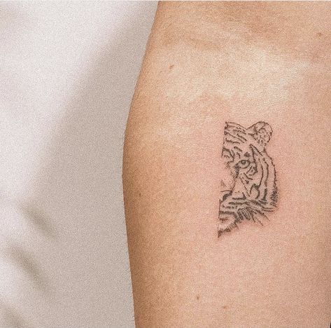 Minimal Tiger Tattoo For Women, Small Tiger Tattoo For Women Simple, Tiger Tatoos Woman, Fine Line Tiger Tattoo For Women, Minimalistic Tiger Tattoo, Fine Line Tattoo Tiger, Mini Lion Tattoo For Women, Tiger Fine Line Tattoo, Mini Tiger Tattoo