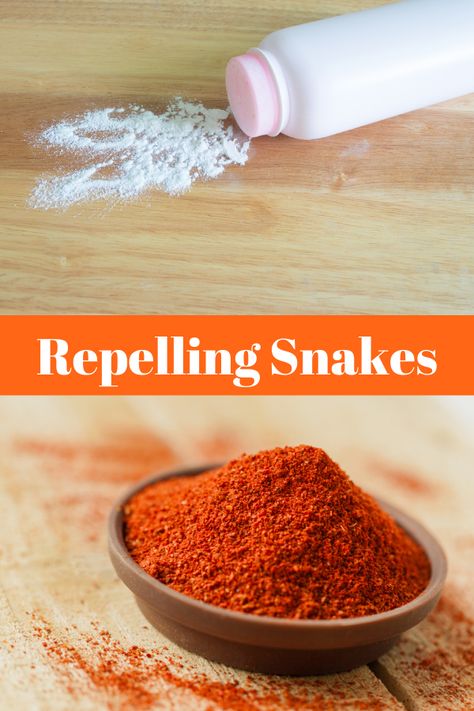 How To Repel Snakes, Snake Free Landscaping, Natural Snake Repellent Homemade, Moth Balls For Snakes, Snake Repellent Diy, How To Get Rid Of Snakes In Yard, How To Get Rid Of Snakes, Snake Repellant Homemade, Diy Snake Repellent