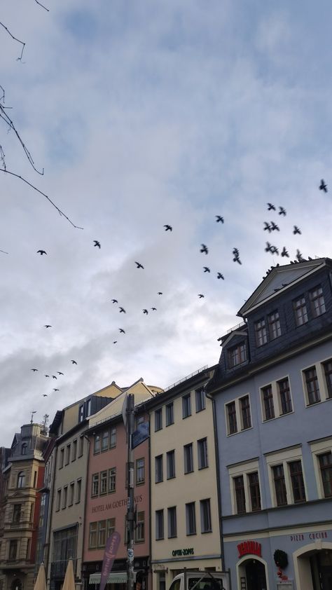 Town, Germany, weimar, birds, flying birds, morning Weimar Germany, Flying Birds, Birds Flying, Aura, Vision Board, Germany, Birds, Weimar