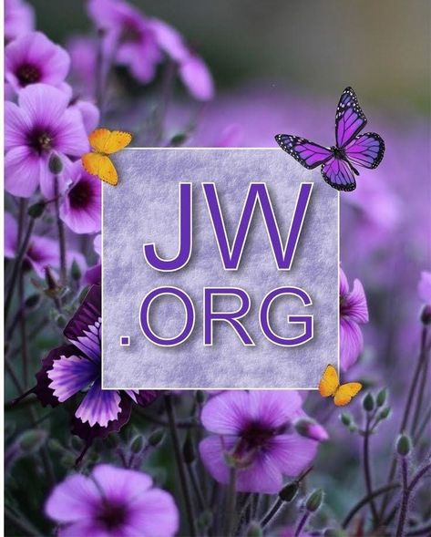 Jw Songs, Jehovah Paradise, Jw Quotes, Jehovah Quotes, Jw Ministry, Quotes Good Morning, Jehovah Witness Quotes, Jehovah Witness, Beautiful Flowers Photography