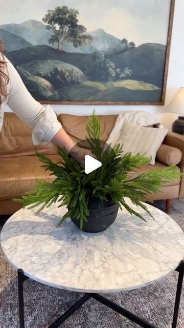 FAUXLIAGE on Instagram: "We know a lot if you already have our modern rustic vase so we thought we’d share a few different ideas for styling using the illustrious Norfolk tree branch! Which one is your fave?" Winter Branches In Vase, Pine Branches In Vases, Christmas Tree Branch Vase, Tree Branch Vase, Vase With Branches Ceramic, Vase With Branches, Christmas Tree Branches, Rustic Vase, Which One Are You