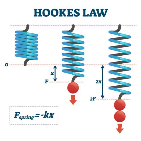 What is Hooke's Law? Force Physics, Teaching Physics, Robert Hooke, Electrical Engineering Books, Science Revision, Physics Notes, Educational Infographic, Tiny World, Power Amplifiers