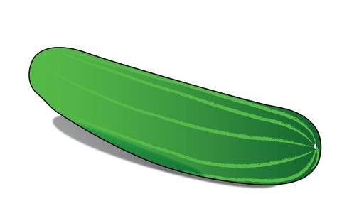 How to Draw a Cucumber Win Lose Or Draw, Drawing Pictures For Kids, Vegetable Garden Markers, Fruits Drawing, Growing Cucumbers, Garden Markers, Easy Doodle Art, Simple Doodles, Cute Images