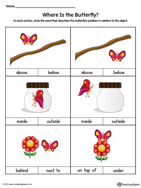 Positional Words Worksheet: Above, Below, Inside, Outside, Behind, Next To, On Top Of, Under (Color) Worksheet.Practice the position of objects with this kindergarten positional word worksheet. Kids will use words to describe the position of the butterfly. Positional words included are: "above", "below", "inside", "outside","behind", "next to", "under", and "on top of". Over Under Above Below Worksheet, Inside And Outside Worksheet, Inside Outside Worksheet, Above And Below Worksheets, Positional Words Worksheet, Positional Words Activities, Preschool Counting Worksheets, Fruits Name In English, Positional Words