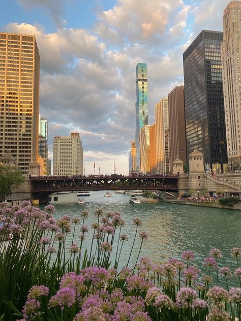 Chicago Travel Aesthetic, Life In Chicago, Chicago Spring Aesthetic, Chicago Vision Board, Chicago Living Aesthetic, Spring In Chicago, Chicago Illinois Aesthetic, Chicago Aesthetic Summer, Chicago Summer Aesthetic