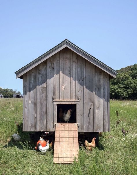 Grey Barn Farm chicken coop by Matthew Williams Primitive Chicken Coop, Vintage Chicken Coop, Farm Structures, Homestead Act, Live Off The Land, Mobile Chicken Coop, Hen Farm, Chicken Shed, Life Upgrade