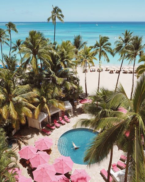 Morning magic in Hawaii 🌺 No filter, no editing. I couldn’t even imagine it would be so beautiful here! And that we are staying at the most iconic resort in Waikiki - @royal_hawaiian! Guests can enjoy two of Hawaii’s finest hotel pools: the serene and intimate Malulani Pool, as well as the vibrant Helumoa Playground, ideal for families and children! Hard to beat this paradise! 🌴🌊 #RoyalHawaiian #DoYouDreamInPink #OnlyAtTheRoyal Hawaii Pool, Hawaii Hotel, Sheraton Waikiki, Royal Hawaiian Hotel, Morning Magic, Hawaiian Resorts, Hawaii Resorts, Hawaii Hotels, Tropical Resort