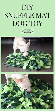 Dog Schedule, Diy Snuffle Mat, Leashes For Dogs, Homemade Dog Toys, Animal Treats, Kat Diy, Brain Games For Dogs, Dogs Diy Projects, Puzzle Diy