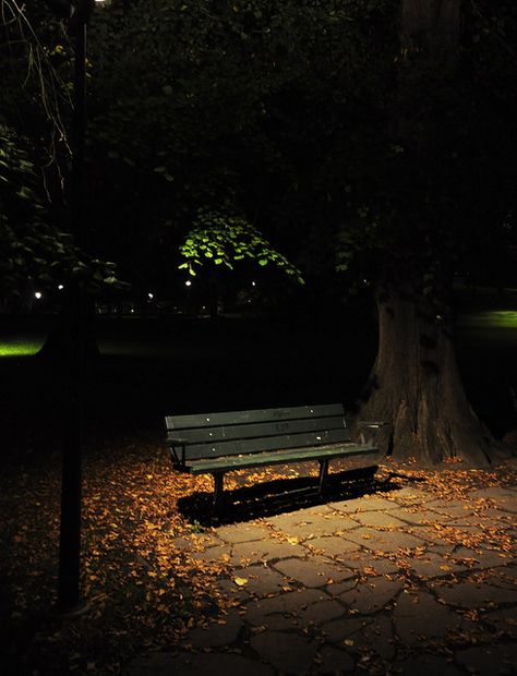 The empty park bench by Mercury dog, via Flickr Bench Aesthetic, Love Background Images, Love Backgrounds, Dark Photography, Night Aesthetic, Dark Night, Image Hd, Night Photography, Park Bench