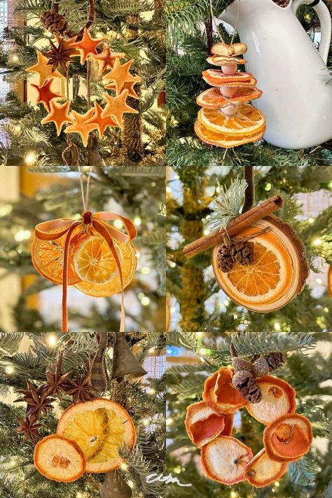 Looking for a fun and festive way to decorate your Christmas tree? Check out these 13 amazing DIY ideas for making dried orange ornaments! Perfect for adding a rustic touch to your holiday decor, these DIY ornaments are easy to make and will make your tree truly stand out. Get creative and have a blast crafting your own unique designs. Don't wait, start your DIY ornament project today and spread the holiday cheer! Dried Fruits Christmas Tree, Easy Tree Decorations, Orange Slice Garland Diy, Orange Slice Christmas Ornaments, Dehydrated Fruit Ornaments, Diy Orange Ornaments, Orange Peel Christmas Decorations, Dried Fruit Decorations Christmas, Orange Slice Ornaments Tree Decorations