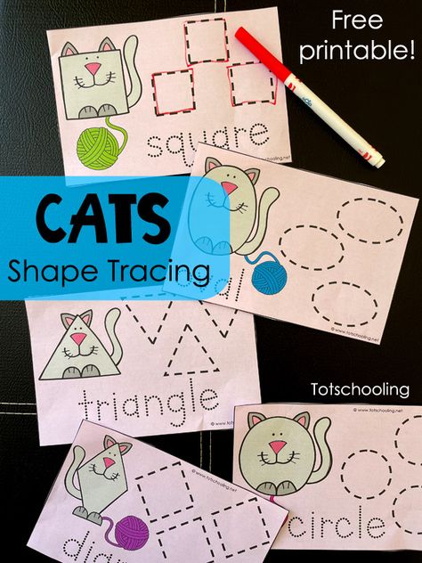 Pet Themed Crafts Preschool, Preschool Pets Unit, Preschool Pet Activities, Prek Themes, Pet Study, Learn Shapes, Practice Tracing, Pet Theme, Pets Preschool Theme