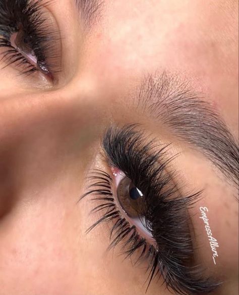 Lashes Textured Lash Extensions, Lash Extensions Black Women, Bottom Lash Extensions, Best Lash Extensions, Bottom Eyelashes, Bottom Lashes, Maquillage On Fleek, Lashes Fake Eyelashes, Lash Styles