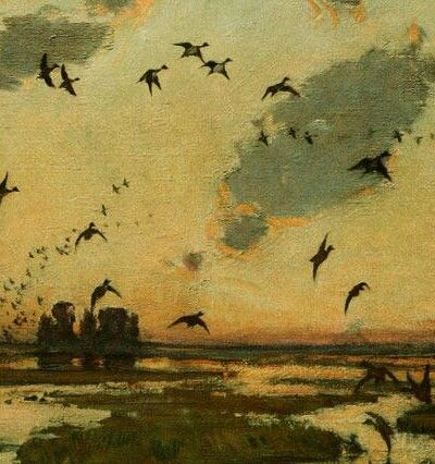 Frank Weston Benson, Waterfowl Art, Hunting Art, Duck Art, Jeff Koons, Sport Art, Billie Holiday, Duck Hunting, Impressionist Paintings