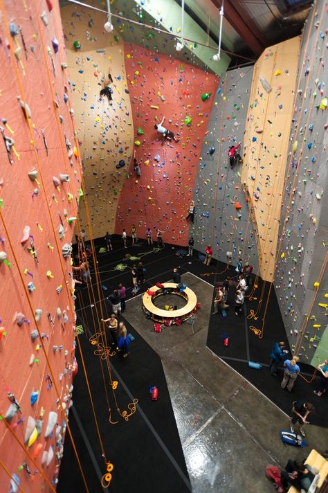 Climbing Walls Indoor Climbing Wall, Rock Climbing Gym, Climbing Walls, Indoor Rock Climbing, Stair Climbing, Indoor Climbing, Rock Climbing Wall, Climbing Gym, Organisation Hacks