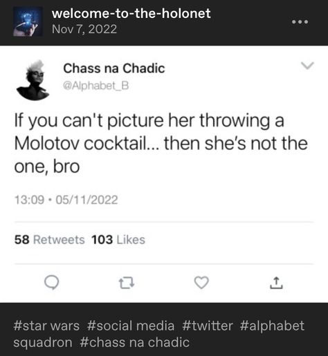 Alphabet Squadron, Blue Squadron Star Wars, Clone Wars Quotes Inspirational, The Clone Wars Headcanons, Star Wars Clone Wars Memes Funny, Future Goals, Alphabet, Star Wars, Good Things