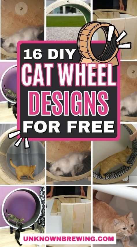 Help your active cat burn off energy with a homemade wheel. Indoor Cat Room Ideas Diy, Diy Cat Wheel, Catio Patio, Cat Walls, Cat Room Diy, Kitty Treats, Cat Diy Crafts, Cat Wheel, Cat Exercise Wheel