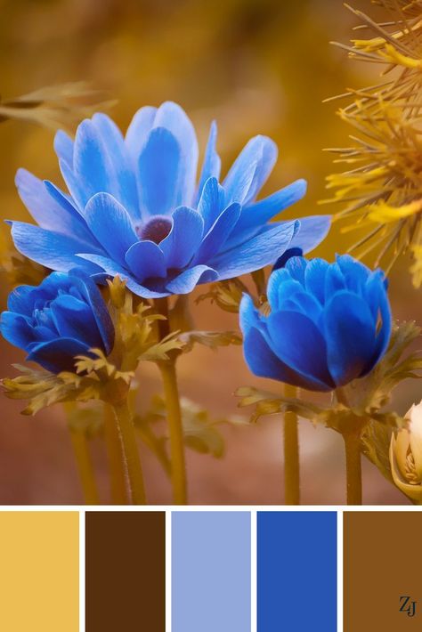 ZJ Colour Palette 584 #colourpalette #colourinspiration Painting Palette, Spring Color Palette, Color Schemes Colour Palettes, Color Palate, Blue Colour Palette, Color Palette Design, Arte Inspo, Color Balance, Colour Schemes