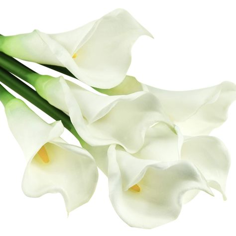 PRICES MAY VARY. Long stem calla lily is popular floral plant with captivating, attractive appearance and unique sword-shaped flower head. A native to South Africa and easy to cultivate. Yellow long stem calla lilies usually blossom during spring and early summer. However, they blossom only 8 weeks after planting. However, with our real feel calla lily artificial flowers will thrive all year round. Detailed yellow stamens and exquisite real touch petals makes the flowers look realistic and lifel White Calla Lily Bouquet, Calla Lily Bouquet Wedding, Home Decor Floral Arrangements, Calla Lily Wedding, Calla Lily Flowers, Calla Lily Bouquet, Lily Bouquet, Floral Arrangements Diy, Artificial Flowers Wedding