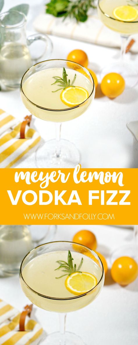 Meyer Lemon Cocktail, Meyer Lemon Cocktail Recipes, Vodka Lemon Cocktail, Lemon Cocktail Recipes, Lemon Cocktails, Lemon Cocktail, Rosemary Simple Syrup, Lemon Vodka, Citrus Cocktails