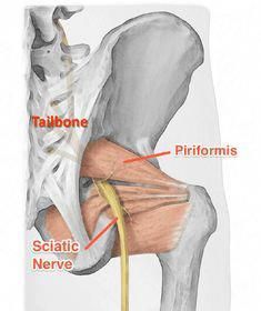 Piriformis Exercise, Piriformis Exercises, Piriformis Syndrome Exercises, Best Exercise For Hips, Sciatic Nerve Pain Relief, Piriformis Muscle, Therapy Exercises, Hip Pain Relief, Piriformis Stretch