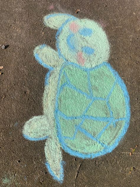 Save The Turtles, The Turtles, Turtles, Chalk, Quick Saves