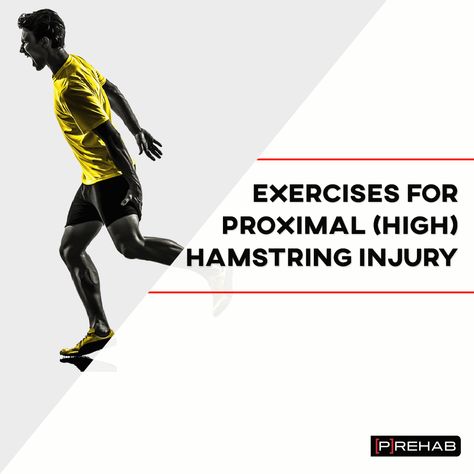 Dealing with a nagging, high hamstring injury? In this article, we break down what proximal hamstring tendinopathy is and how to rehab it! Hamstring Injury, Sports Physical Therapy, Single Leg Bridge, Bursitis Hip, Isometric Exercises, Hamstring Workout, Piriformis Syndrome, Running Injuries, Physical Therapy Exercises