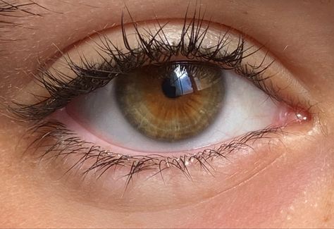 Hazel Eyes With Gold Flecks, Dark Hazel Eyes Aesthetic, Greenish Brown Eyes, Cognac Eyes, Pretty Hazel Eyes, Light Hazel Eyes, Hazel Eyes Aesthetic, Dark Hazel Eyes, Brown Hazel Eyes