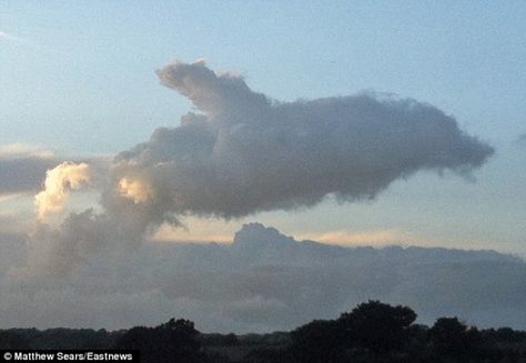 26. #Dolphin - Amazing #Nature: Clouds That Look like #Animals ... #Elephant Shapes In Clouds, Shapes In The Clouds, Clouds That Look Like Things, Clouds Shapes, Cloud Pictures, Angel Clouds, Essex England, Cloud Formations, White Van