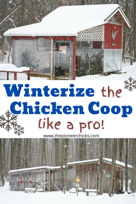 Weatherproof Chicken Coop, Cheap Ways To Insulate Chicken Coop, Chicken Coop Tips, Safe Paint For Chicken Coop, Cold Climate Chicken Coop, Clean Chicken Coop, Chicken Coop Winterizing, How To Winterize Chicken Coop, Winterized Chicken Coop