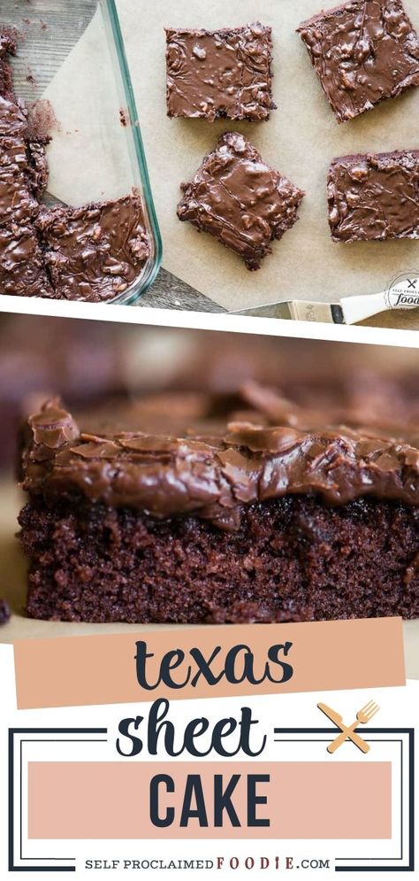 Texas Sheet Cake Recipe, Sheet Cake Recipe, Texas Sheet, Texas Sheet Cake, Chocolate Sheet Cake, Homemade Chocolate Cake, Sheet Cake Recipes, Rich Desserts, Moist Cakes