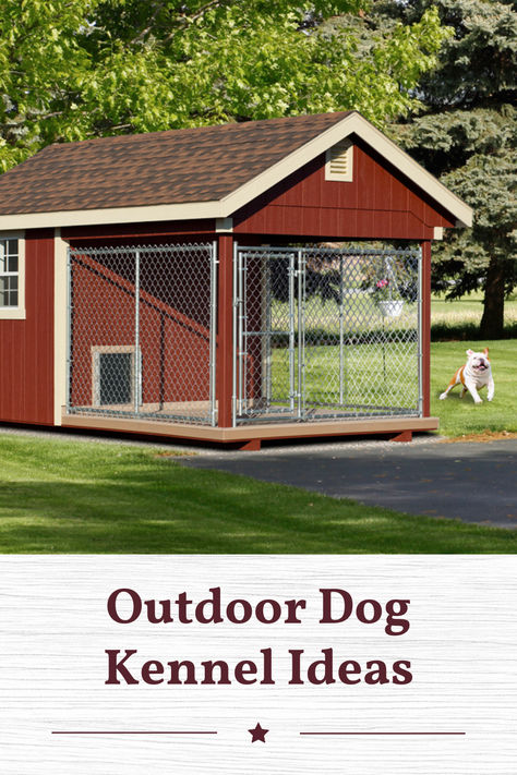 a red dog kennels sits in a yard with a white dog running beside it. Text underneath says, "outdoor dog kennel ideas" Outdoor Dog Kennel Ideas, Outdoor Dog Kennels, Dog Kennel Ideas, Outdoor Dog Kennel, Kennel Ideas, Dog Kennels, Dog Kennel Outdoor, Outdoor Dog, Dog Kennel