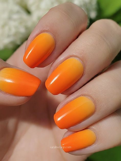 35+ Orange Nail Designs To Try This Summer Orange Nails Birthday, Bright Orange Nail Designs, Yellow And Orange Nails Design, Summer Orange Nails, Orange Nail Ideas, Red Orange Nails, Orange Color Shades, Bright Orange Nails, Orange Ombre Nails