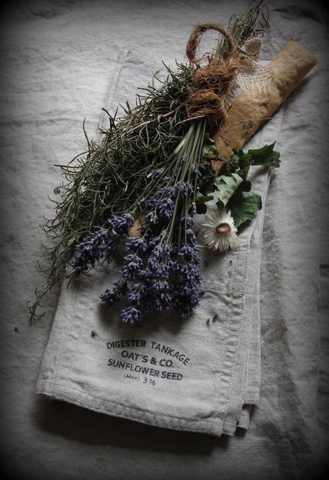 Lavender Cottage, Alchemy Art, Ivy House, Deco Nature, Purple Home, Lovely Lavender, Healing Herbs, Lavender Blue, Lavender Fields