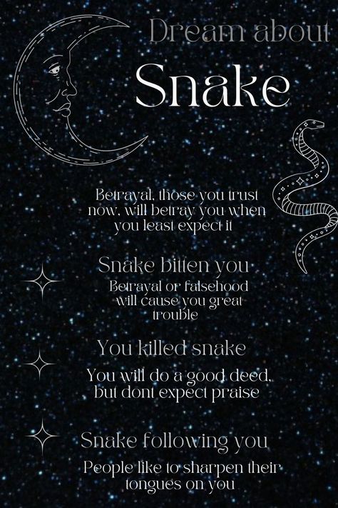 Dreams About Snakes Meaning, Snake Dream Meaning, Dream Messages, Snake Meaning, Magickal Correspondences, Witches Alphabet, Astrology 101, Dream Magic, Witch Things