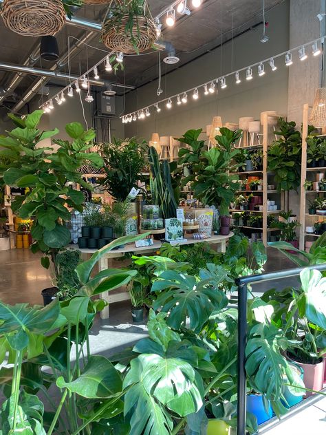 PlantHouse Alexandria, VA | DIY Workshops & House Plant Store Plant Store Aesthetic, Terrarium Workshop, Plant Jungle, Fish Store, Store Inspiration, Plant Store, Candle Kits, Old Town Alexandria, Store Layout