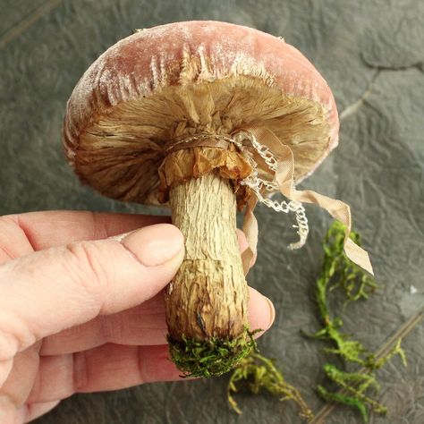 Handmade Woodland mushroom with silk velvet cap and glass glitter spots. by Julie Collings Garden Cloche, Mushroom Crafts, Mushroom Fairy, Textile Sculpture, Mushroom Decor, Mushroom Art, Nature Crafts, Soft Sculpture, Fabric Art