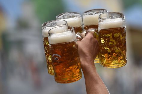 What are we drinking this Syracuse basketball season? Australian Beer, Oktoberfest Germany, Czech Beer, Beer Hall, Oktoberfest Beer, Michelada, Beer Drinker, German Beer, Old Quotes