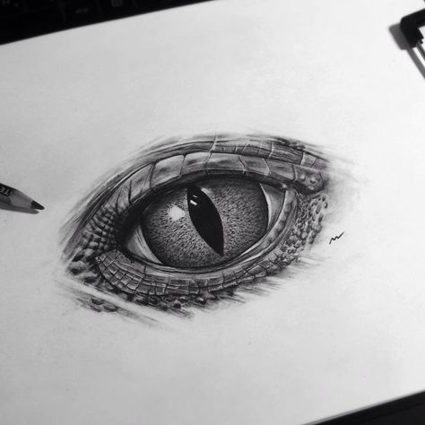 Cobra Eyes Tattoo, Lizard Eye Tattoo, Reptile Tattoo Design, Lizard Eye Drawing, Reptile Eyes Drawing, Crocodile Eye Drawing, Crocodile Eye Tattoo, Reptile Eye Drawing, Reptile Eye Tattoo