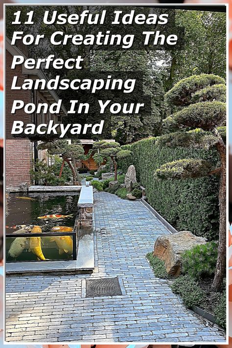 Transform your outdoor space with our guide on creating the perfect landscaping pond in your backyard. Discover 11 useful ideas that will inspire you to design a serene oasis, complete with stunning plants, water features, and wildlife-friendly elements. Whether you're looking for a tranquil retreat or a vibrant focal point, these tips will help you craft a beautiful pond that enhances your landscape and brings joy to your home. Dive into creativity today! Backyard Stream, Small Backyard Ponds, Small Water Features, Useful Ideas, Pond Landscaping, Garden Pond, Wildlife Habitat, Ponds Backyard, Backyard Retreat