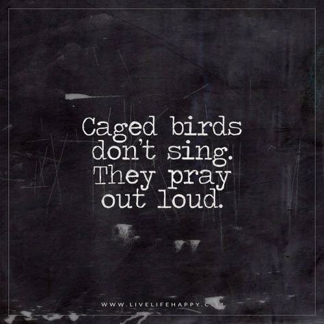 caged birds dont | Caged birds don’t sing. They pray out lou… | Flickr Caged Bird Quotes, Live Out Loud, Card Writing, Typewriter Quotes, Caged Bird, Kari Jobe, Live Life Happy, Papa Roach, Breaking Benjamin